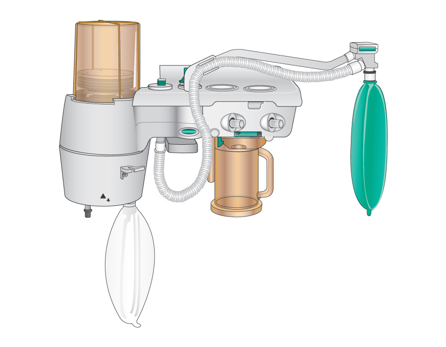 This is a technical illustration that shows parts of an anesthesia machines breathing system