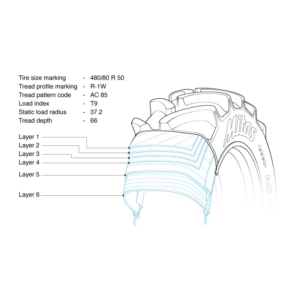 Tire-Layers A cutaway technical illustration that shows the different tires layers