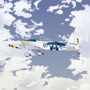 Bald-Eagle A technical illustration that shows a single winged plane in flight
