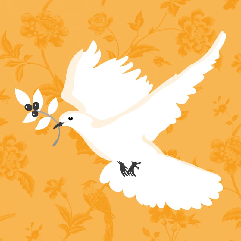 An editorial illustration that shows a peace dove