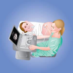 A medical illustration that shows a pregnant woman receiving an ultrasound