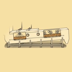Tillamook-Window-5-Salter An editorial illustration of the Salter in Tillamook's cheese making process